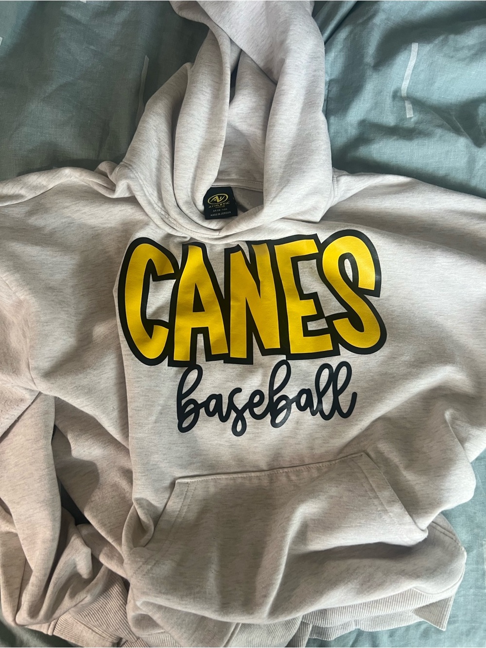 CANES Baseball Graphic Hoodie - Light Gray with Yellow & Black